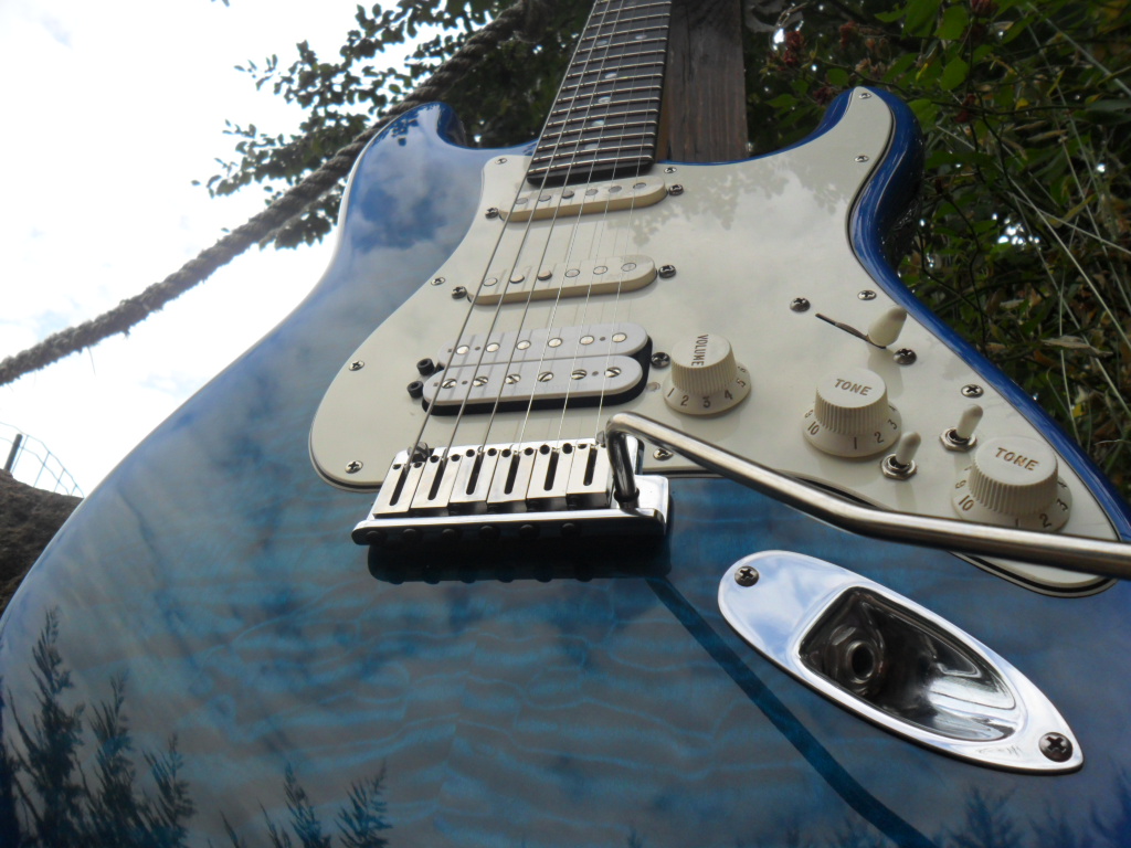 Fender Stratocaster Ultra